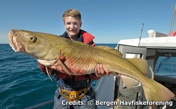 Winter fishing trips, Boat fishing, Cod, Pollack