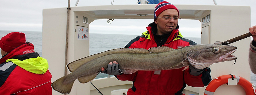 Fjord and sea fishing in Norway